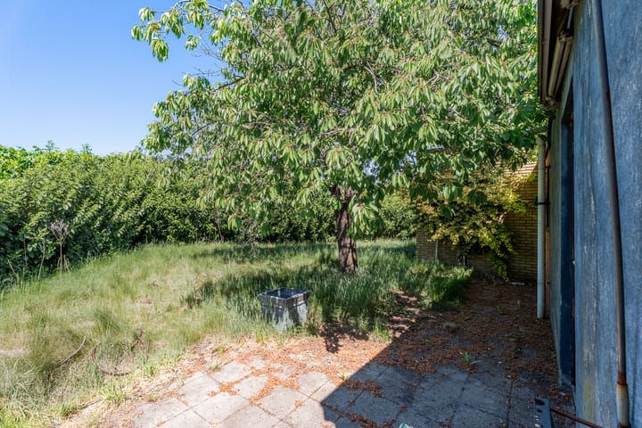 Foto 3 van Rucphensestraat 18