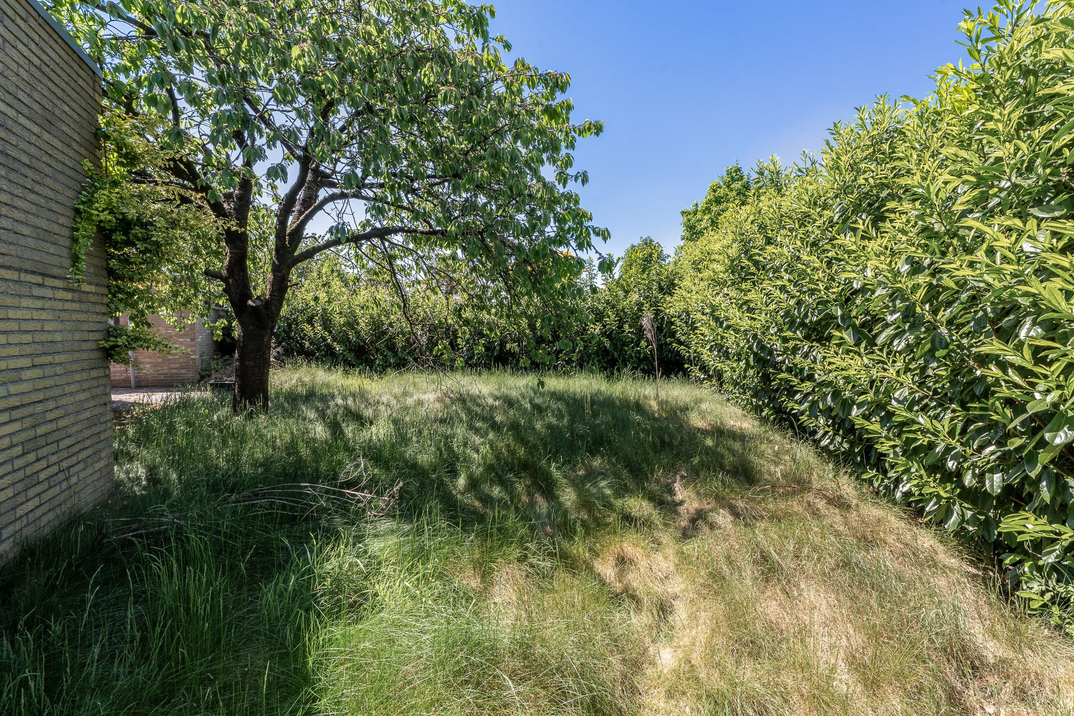 Foto 27 van Rucphensestraat 18