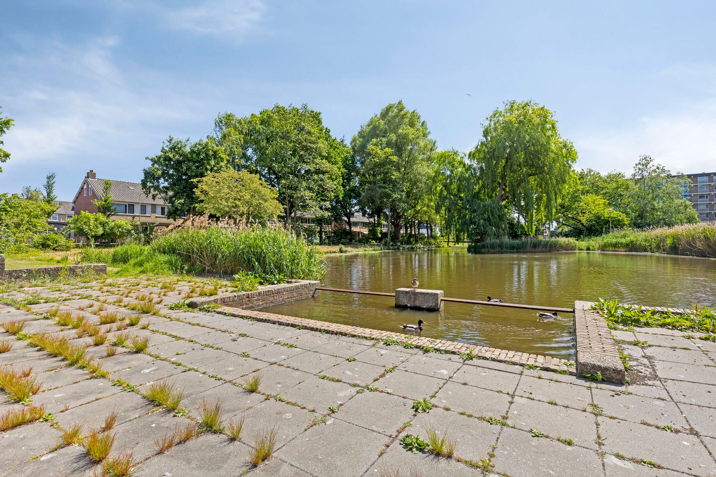 Photo 25 of Venusstraat 162