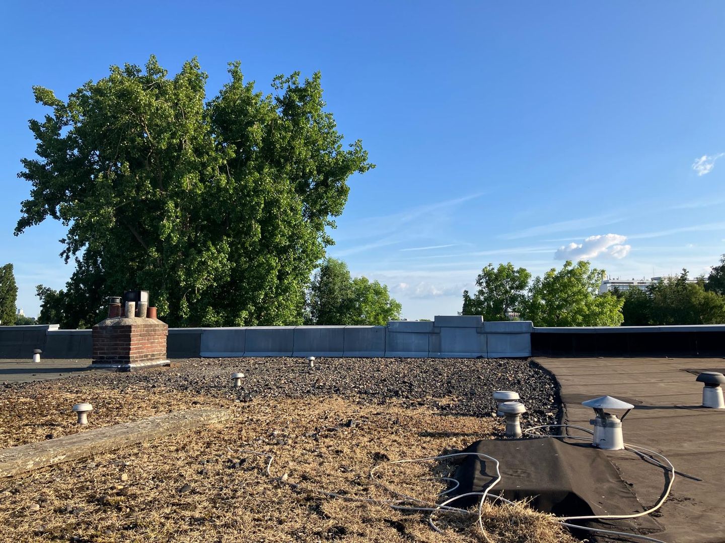 Foto 25 van Kleiweg 323-B