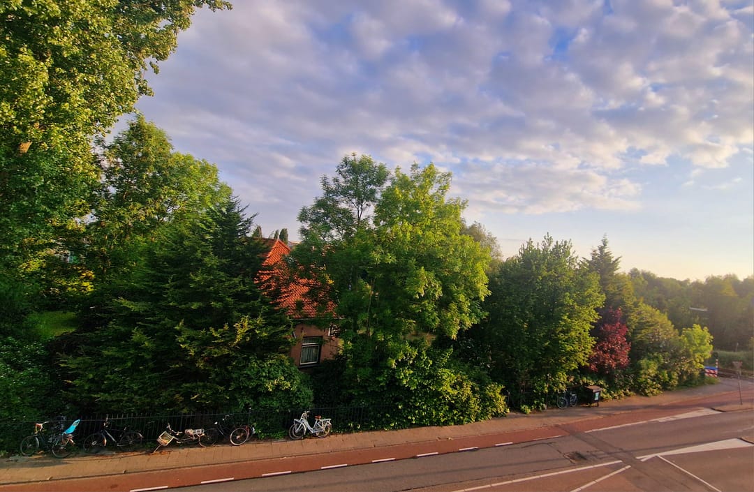 Foto 28 van Kleiweg 323-B