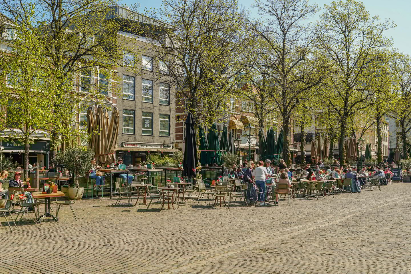 Foto 35 van Lange Houtstraat 3-B