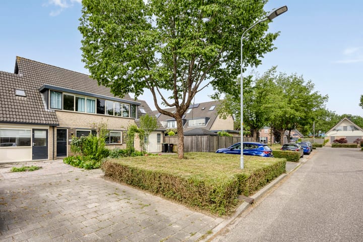 Foto 6 van Schapenweide 174