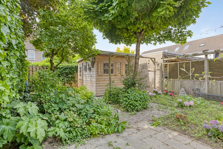 Foto 43 van Schapenweide 174