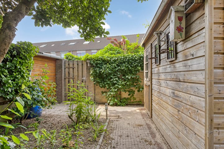 Foto 47 van Schapenweide 174