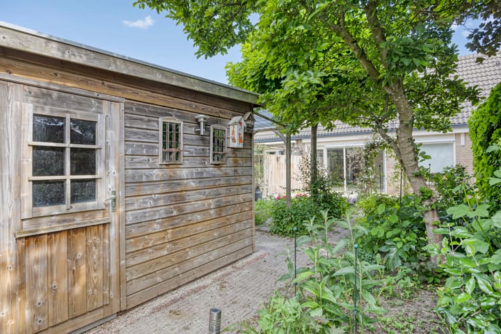 Foto 48 van Schapenweide 174