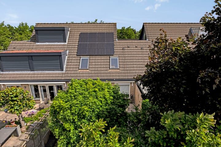 Foto 52 van Schapenweide 174