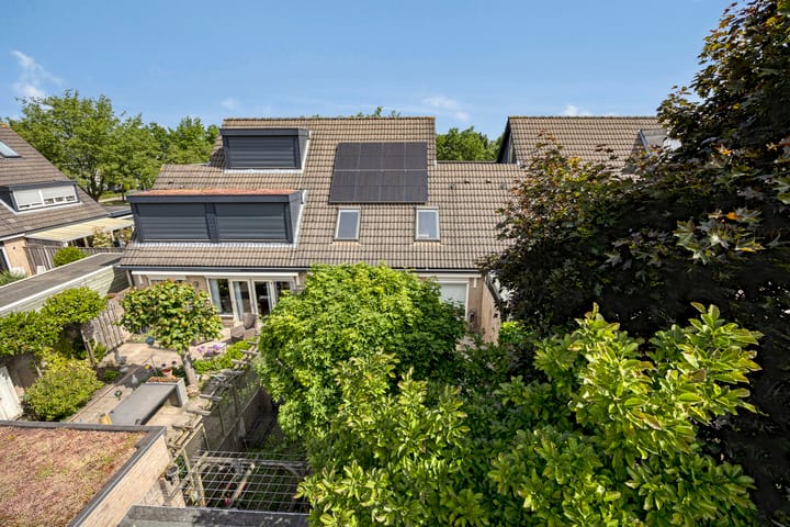 Foto 53 van Schapenweide 174