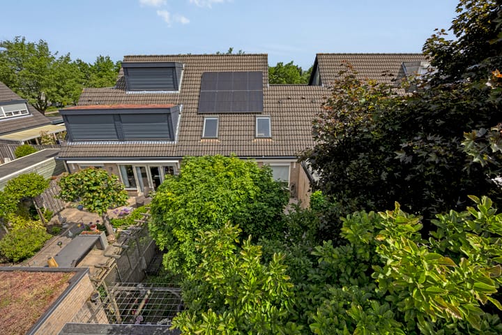 Foto 54 van Schapenweide 174