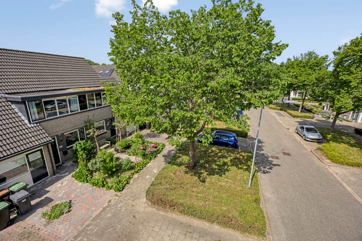 Foto 55 van Schapenweide 174