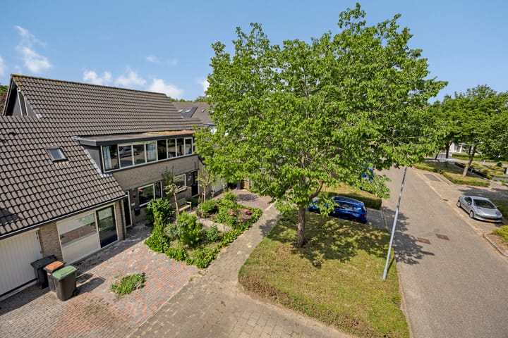 Foto 56 van Schapenweide 174