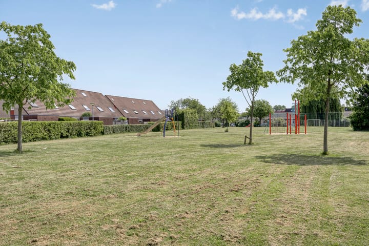 Foto 59 van Schapenweide 174