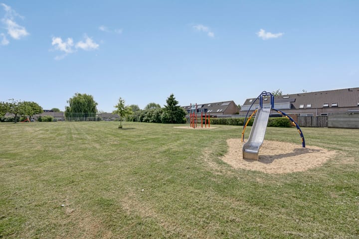 Foto 60 van Schapenweide 174