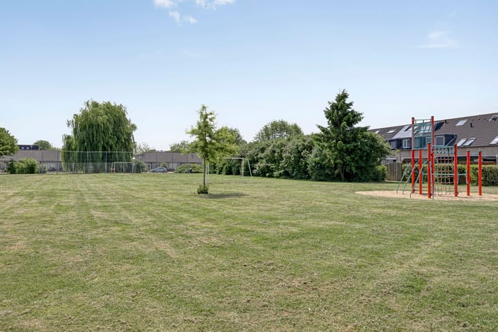 Foto 61 van Schapenweide 174