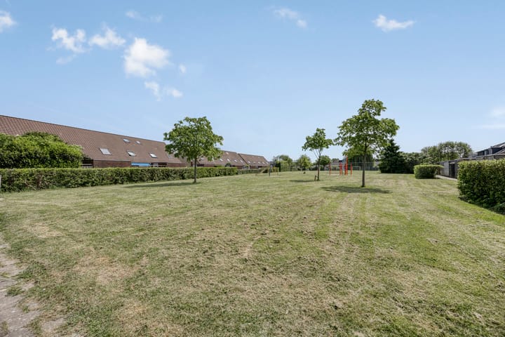 Foto 58 van Schapenweide 174