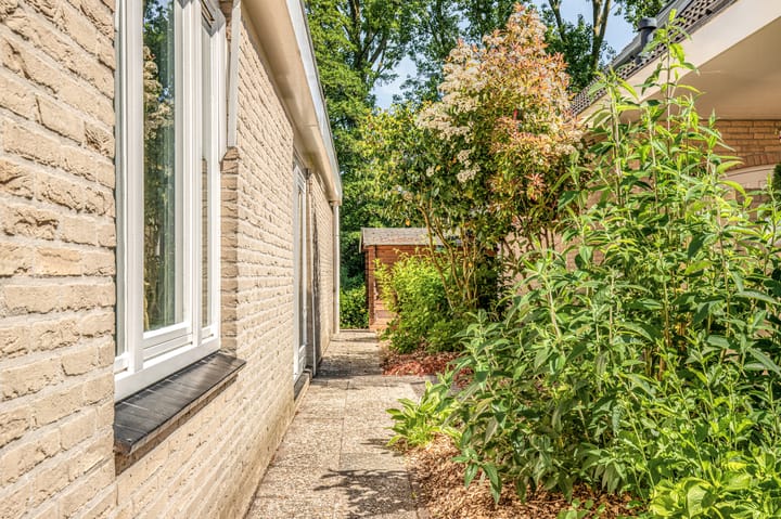 Foto 48 van Jacob Obrechtlaan 36