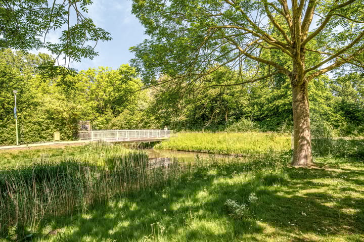 Foto 52 van Jacob Obrechtlaan 36