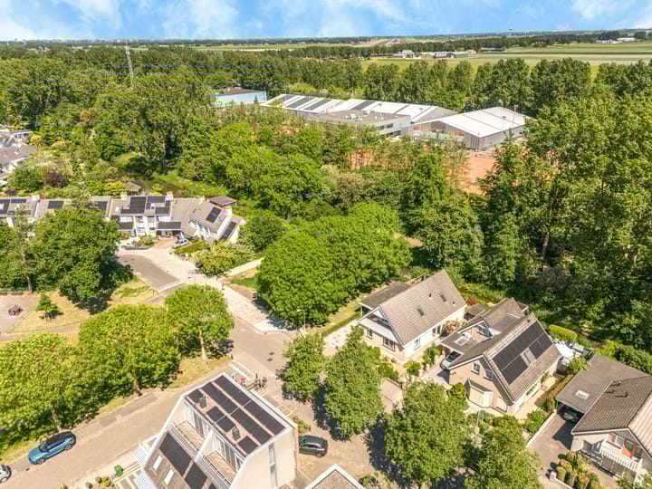 Foto 55 van Jacob Obrechtlaan 36