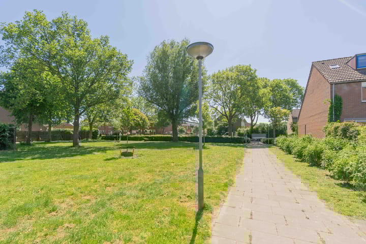 Photo 19 of Wulkenpad 1