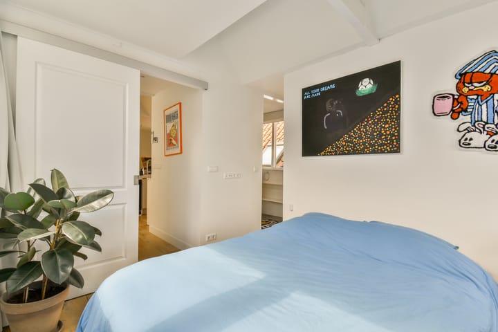 Foto 10 van Eerste Nassaustraat 18-4