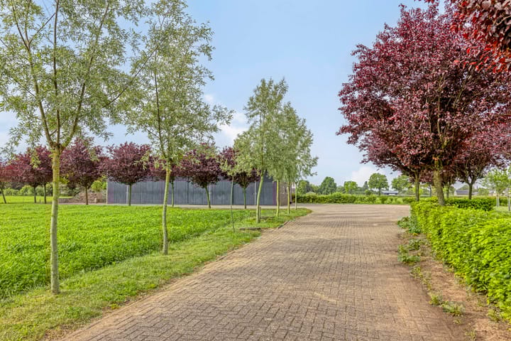 Foto 89 van Braamtseweg 4