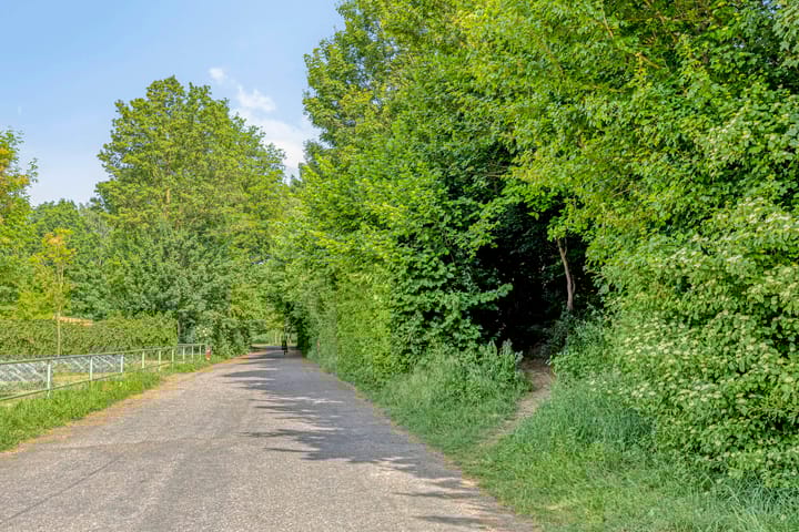 Foto 96 van Braamtseweg 4