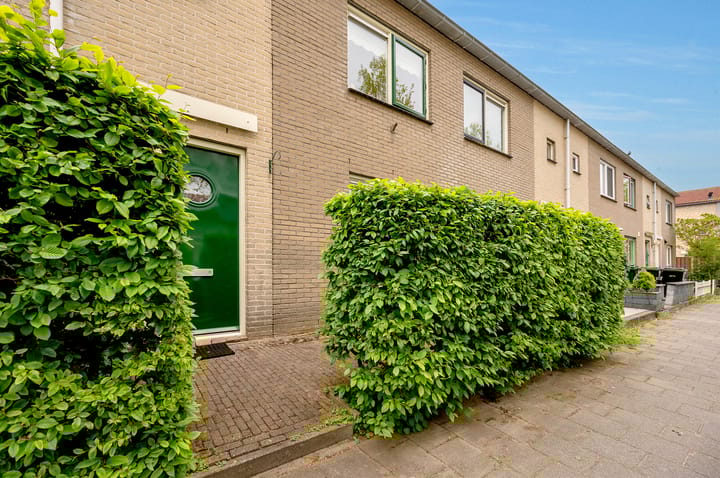 Foto 5 van Salsastraat 71