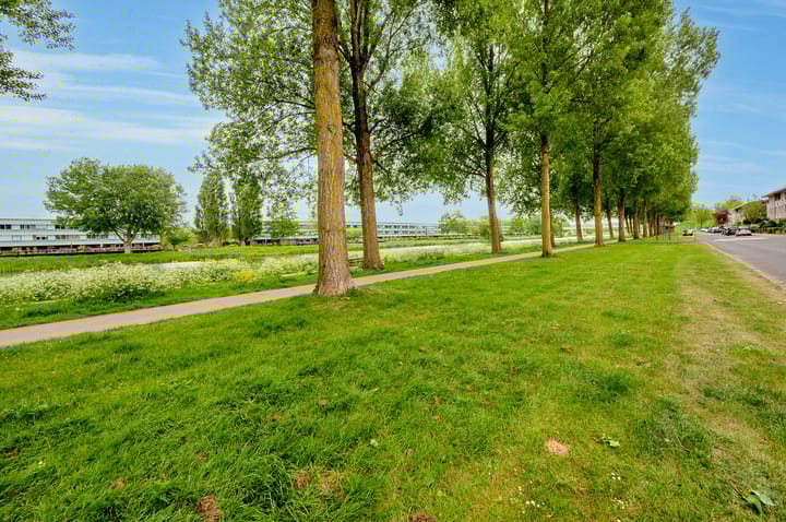 Foto 35 van Salsastraat 71