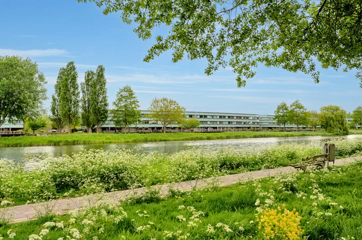 Foto 36 van Salsastraat 71