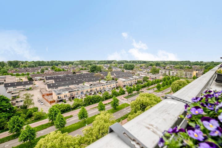 Foto 4 van Eesterwaard 130