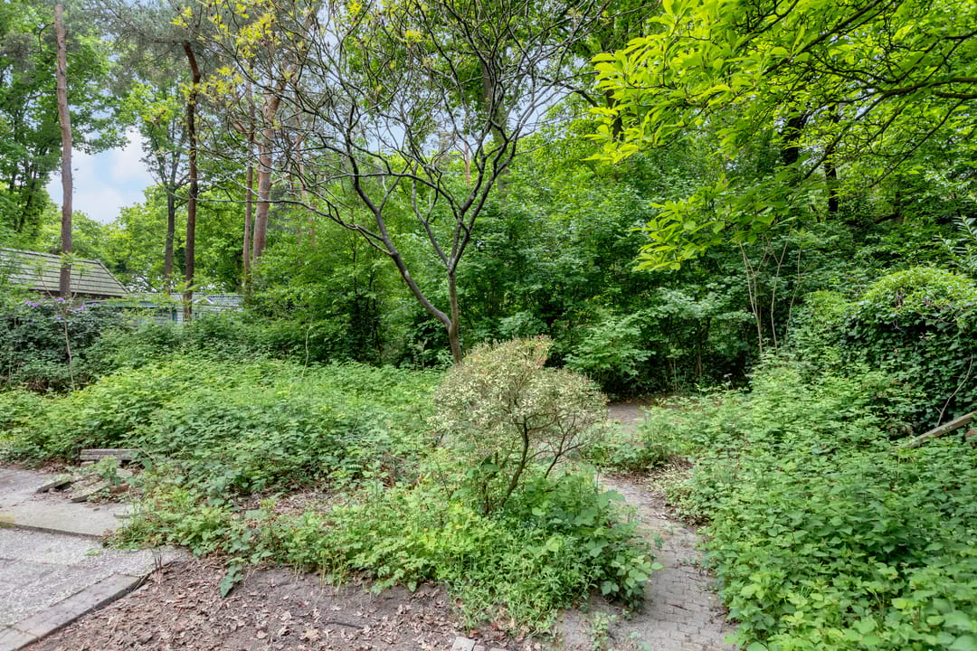 Foto 37 van Kawoepersteeg 40-15