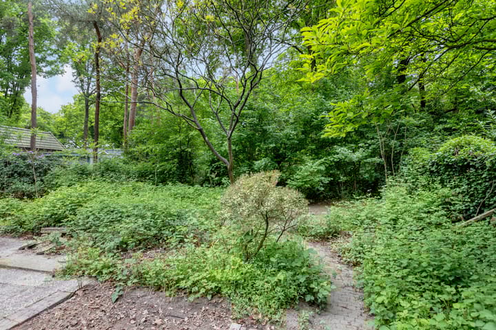 Foto 37 van Kawoepersteeg 40-15