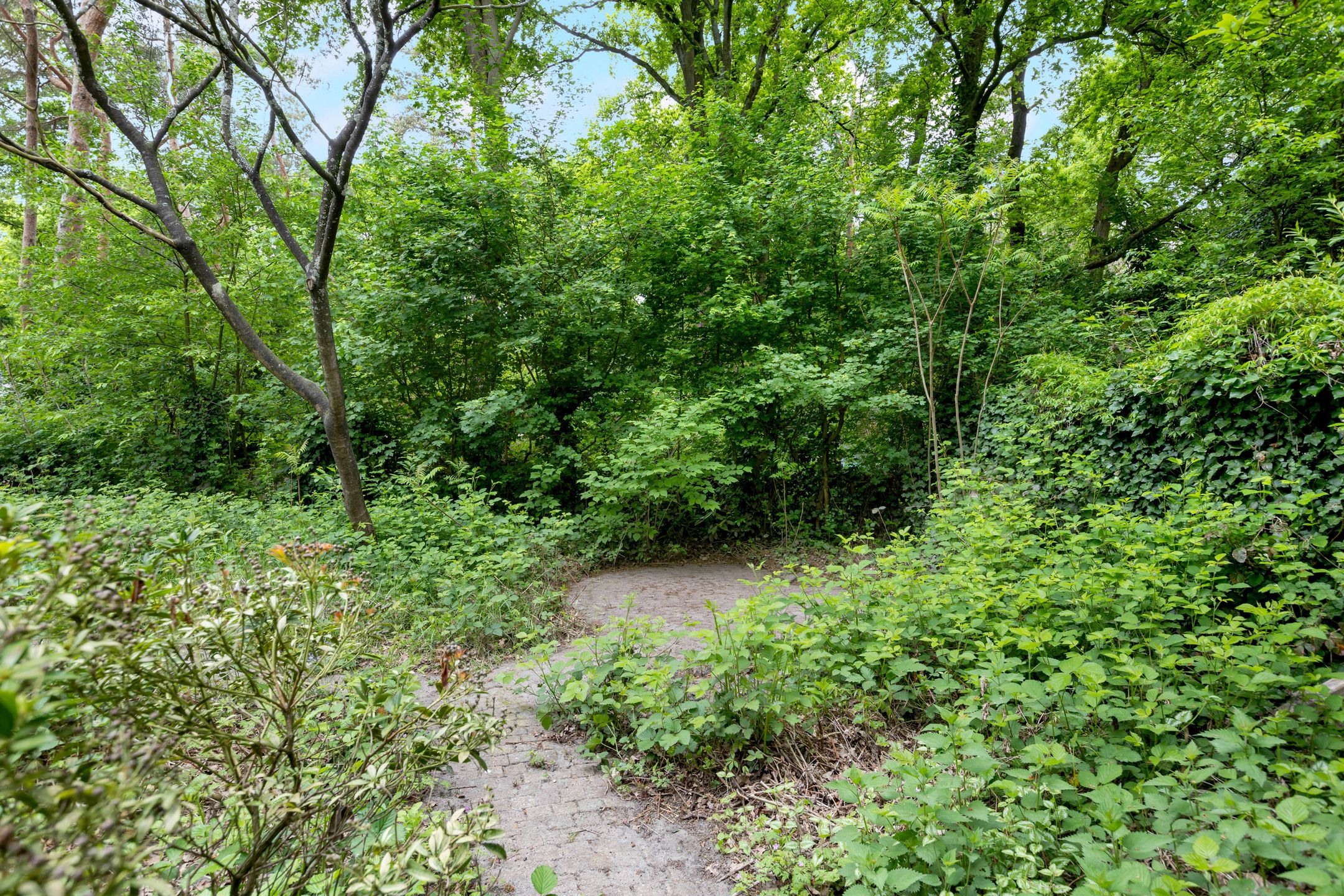 Foto 39 van Kawoepersteeg 40-15