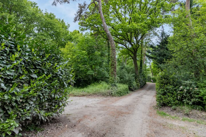 Foto 41 van Kawoepersteeg 40-15