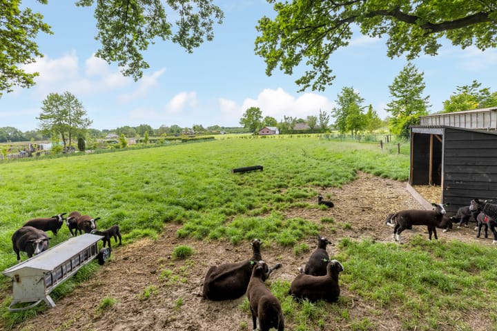 Foto 44 van Kawoepersteeg 40-15