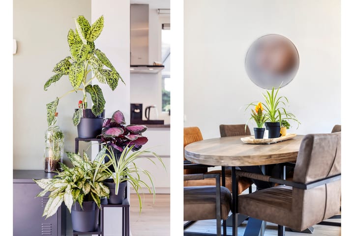 Foto 9 van Cramer van Brienenstraat 89