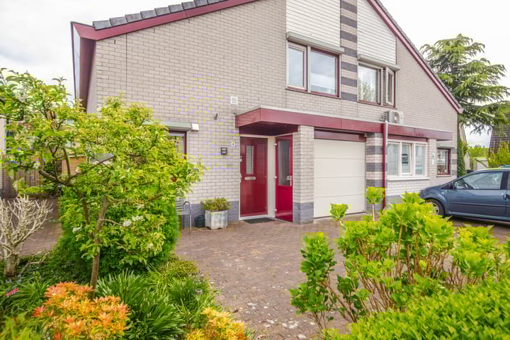 Foto 6 van Banjopad 4