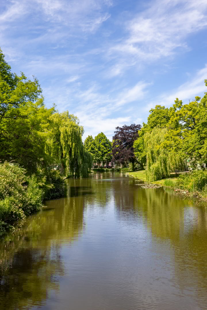 Foto 44 van Spoorsingel 50-A02