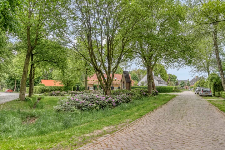 Photo 38 of Hoenderhoek 2