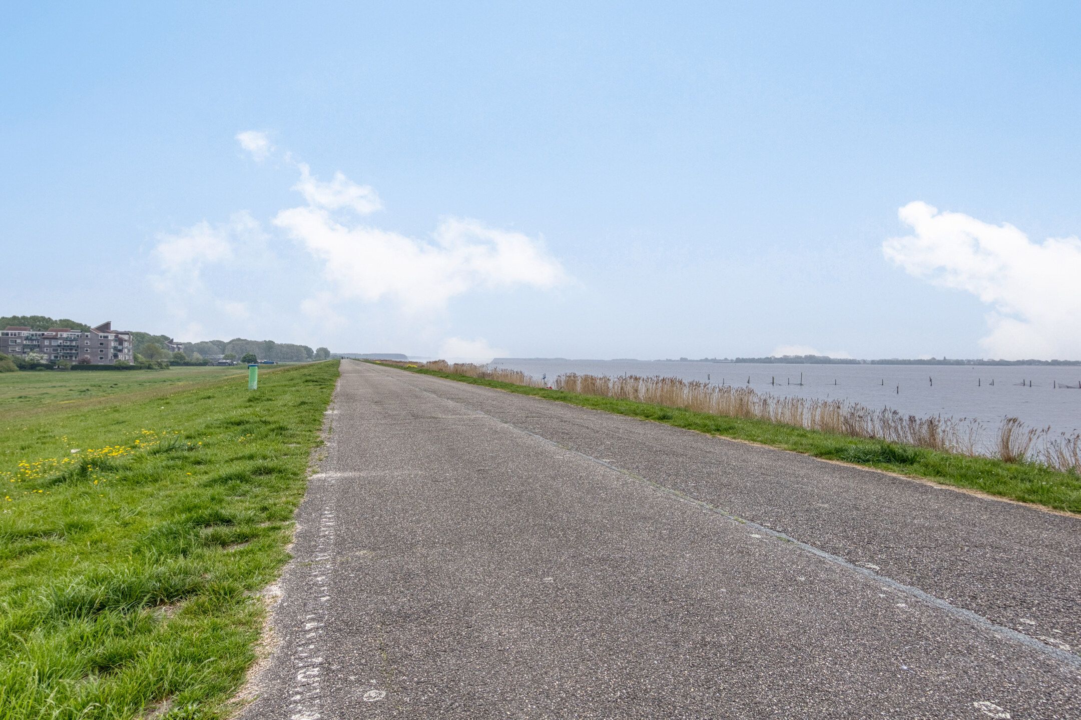 Foto 18 van Achterwerf 270