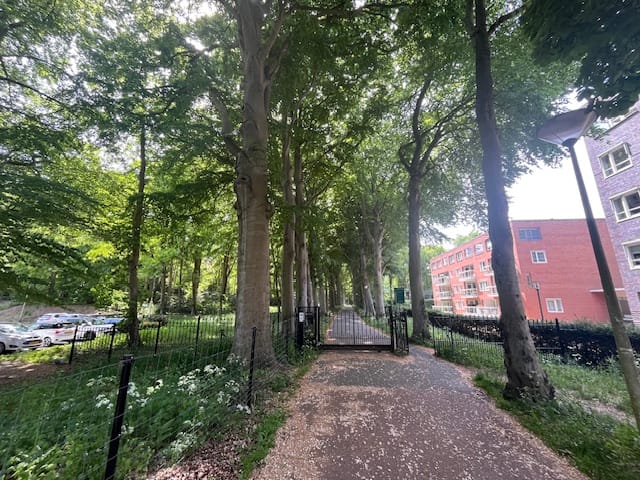 Foto 37 van Menkenlaan 14