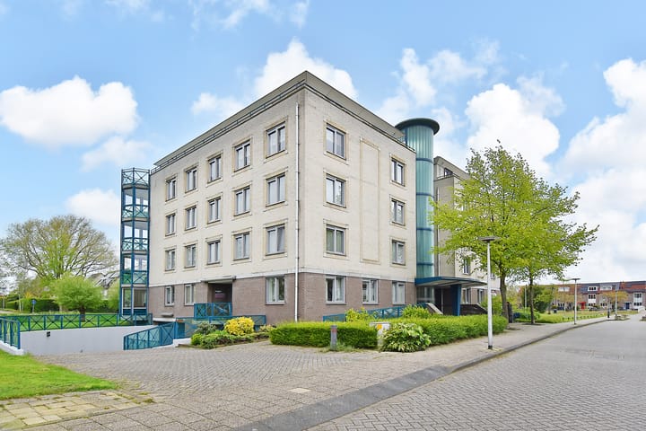 Foto 1 van Ridderspoor 36