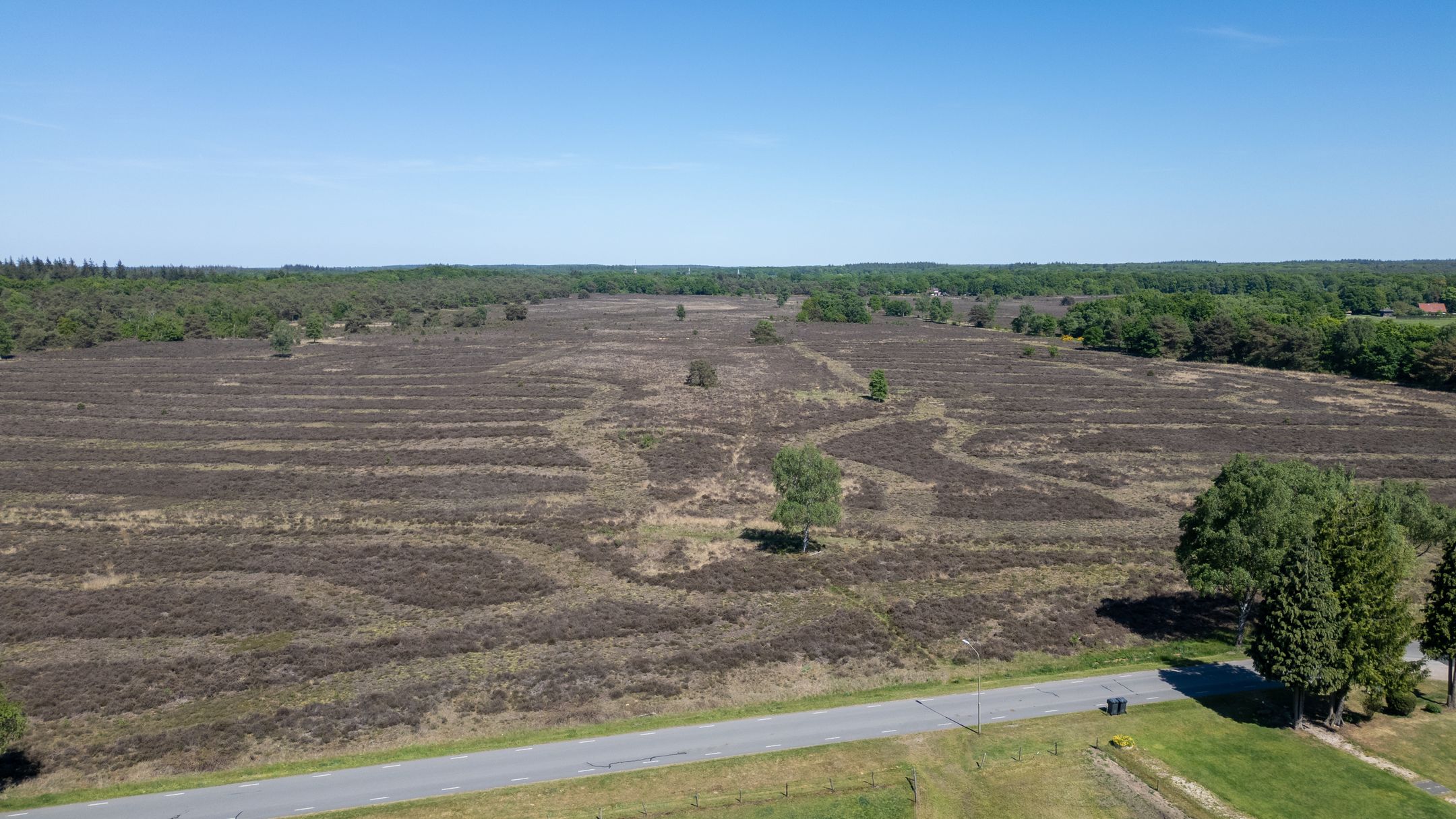 Foto 9 van Middenweg 54