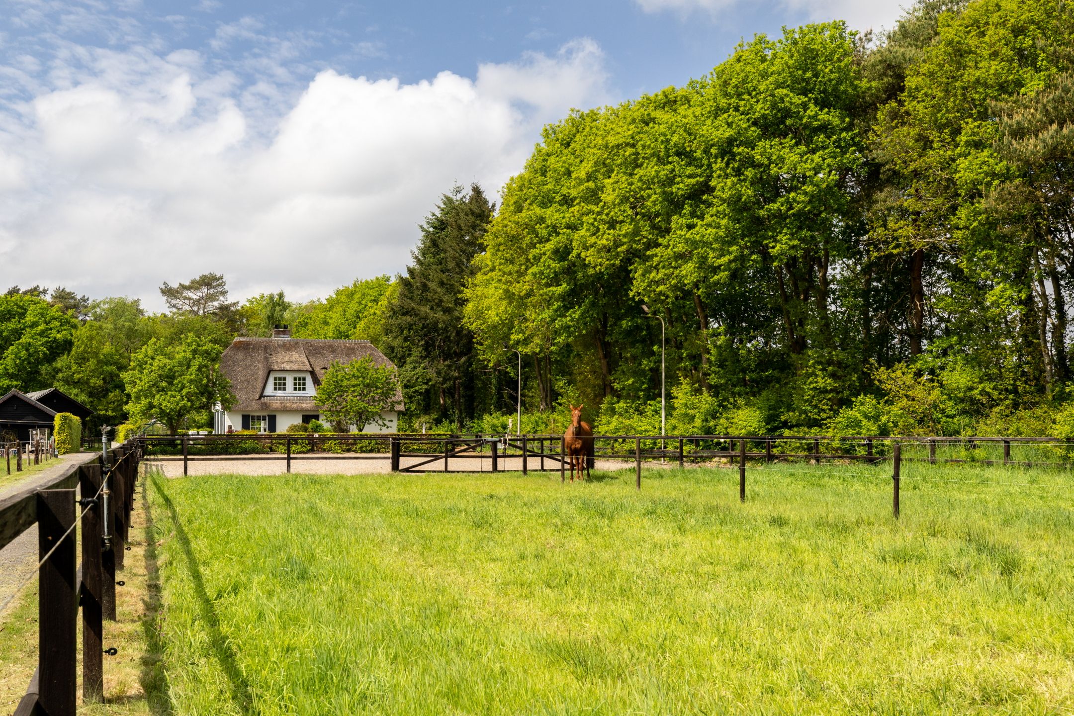 Foto 12 van Middenweg 54