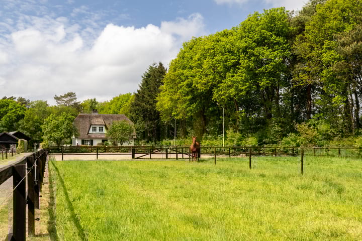 Foto 12 van Middenweg 54