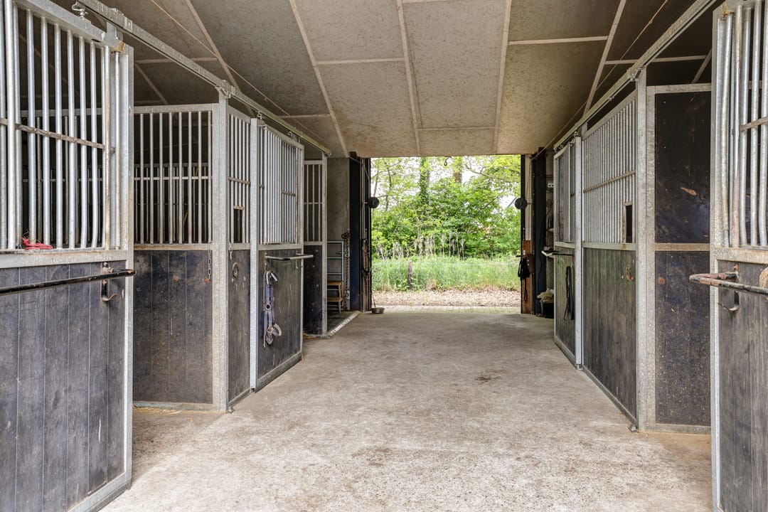 Foto 53 van Middenweg 54