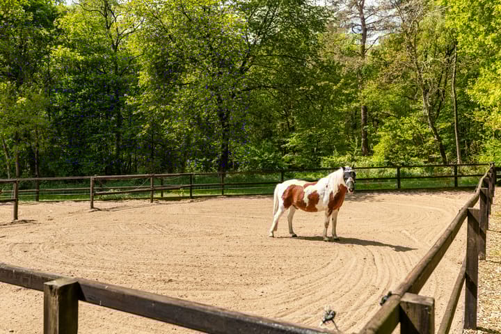 Foto 55 van Middenweg 54