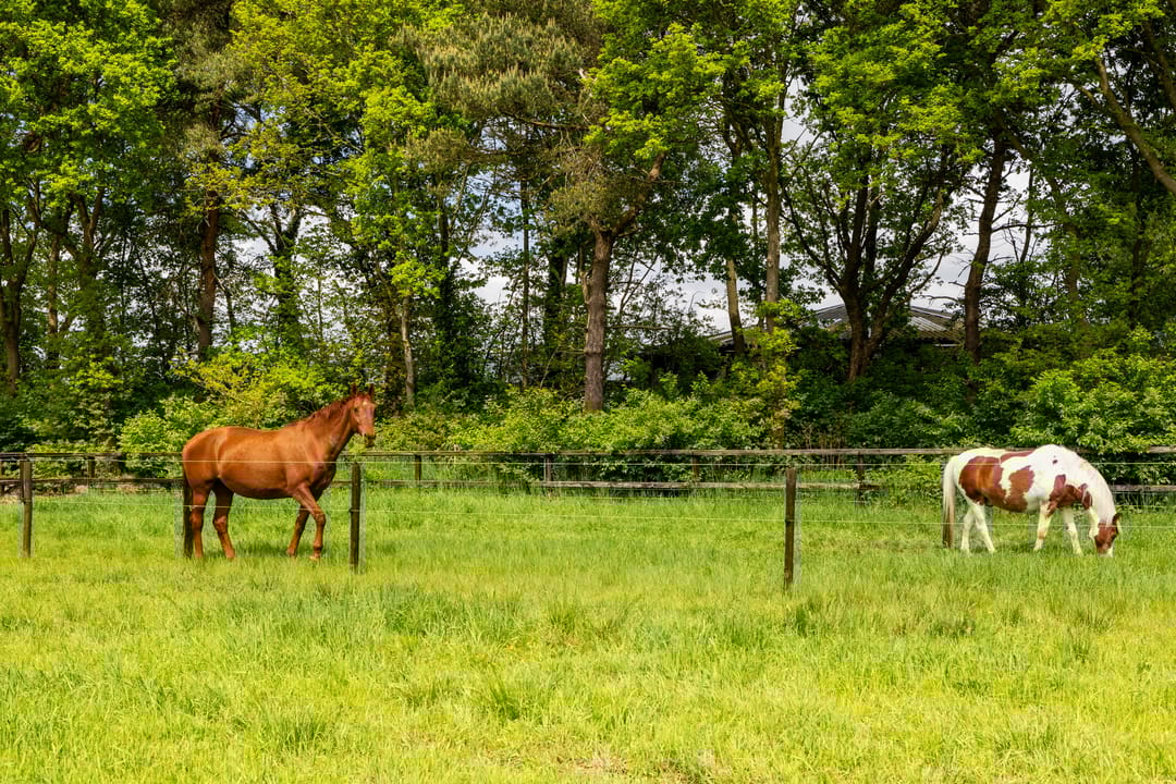 Foto 56 van Middenweg 54