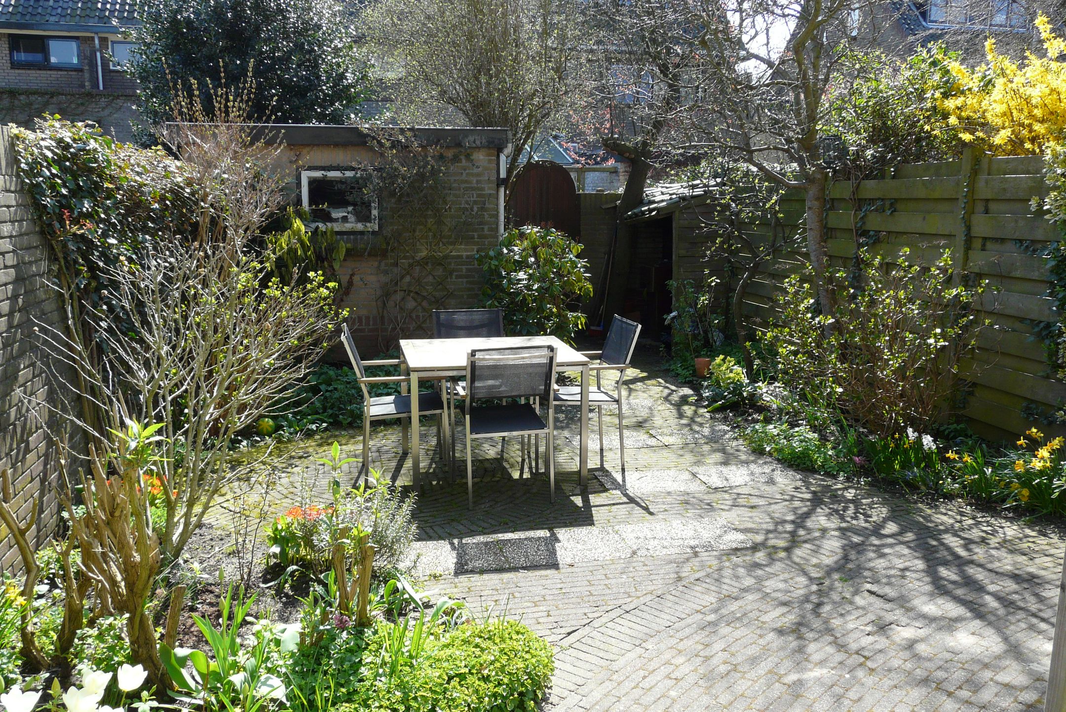 Foto 3 van Toorenveltstraat 14