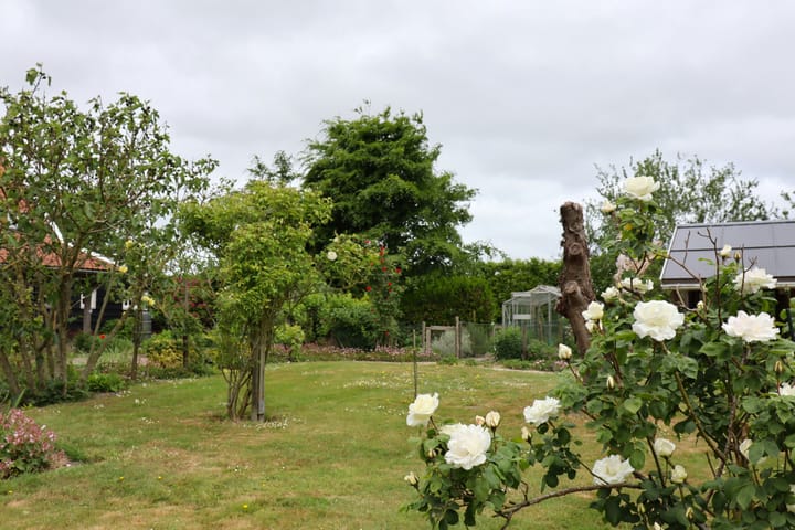 Foto 49 van Stekeldijk 13